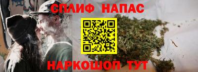 дживик Новозыбков