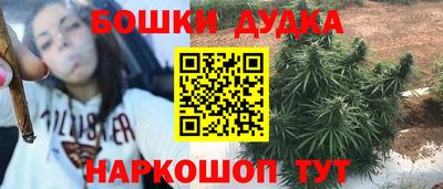 МДПВ Новодвинск