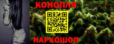 дживик Новозыбков